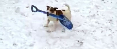 Джек вышел на уборку снега смотреть онлайн