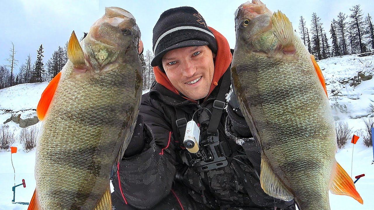 Это ЯКУТИЯ!!! оКОНИ ЗАГИБАЮТ СНАСТЬ, ЩУКАНЫ ЖГУТ ЖЕРЛИЦЫ! ЛЕСКИ ТРЕЩАТ, НОГИ БОЛЯТ! смотреть онлайн