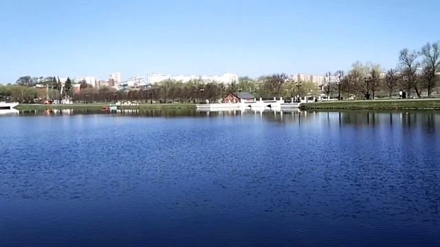 Кряквы на высоком холме.Белки. Чомги .Образы средневековой архитектуры Западной Европы. смотреть онлайн