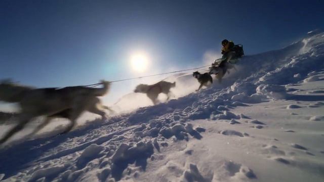 "За пределами. Снежные псы"   Трейлер (рус.) смотреть онлайн