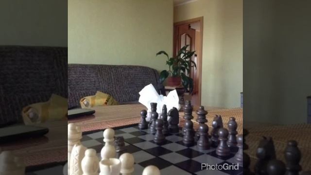 Мой имя ис шахмат смотреть онлайн
