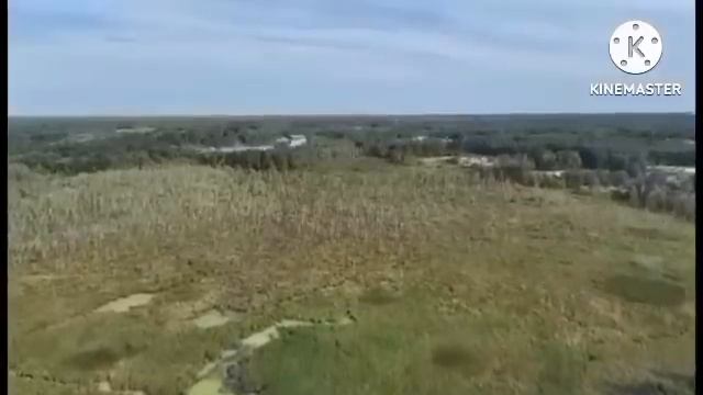 мы родились в сибири//смотрим внимательно//обзор канала смотреть онлайн