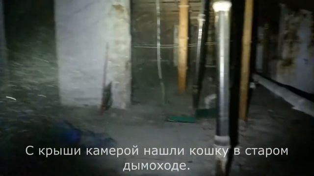 21.02.20_Кошка в трубе, Выборг смотреть онлайн