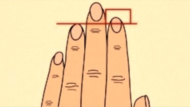 Длина пальцев руки и характер человека смотреть онлайн