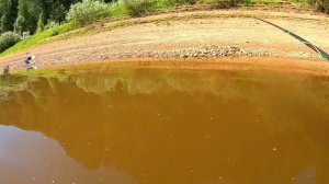 СУПЕР РЫБАЛКА в ПРОВОДКУ! Рыбалка на Вятке