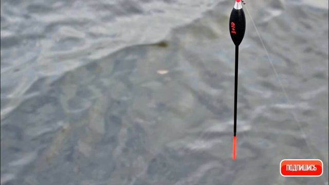 ?знай свою леску? матчевая ловля. выбор лески для поплавочной удочки. ловля на поплавок. рыбалка.