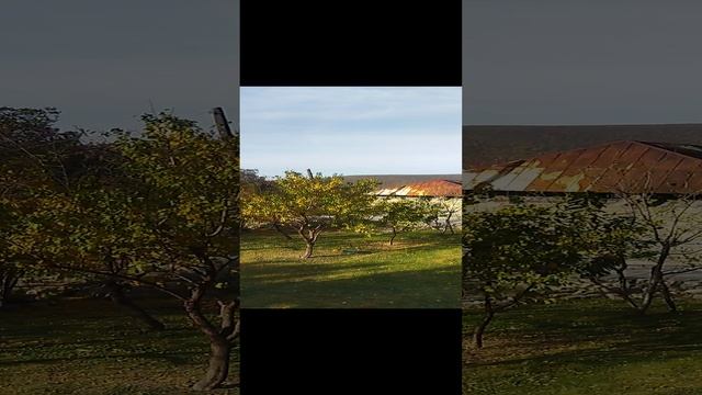 VID_20231028_092952 смотреть онлайн