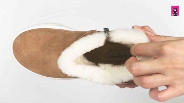 Видеообзор I Женские ботинки TENDANCE 2771226 смотреть онлайн