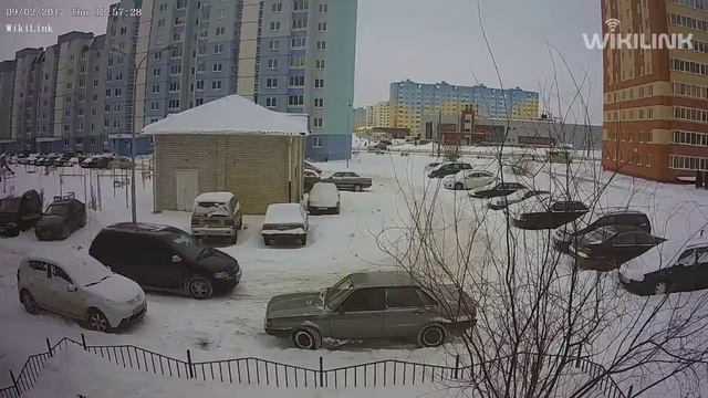 Ворона разбила стекло в машине смотреть онлайн