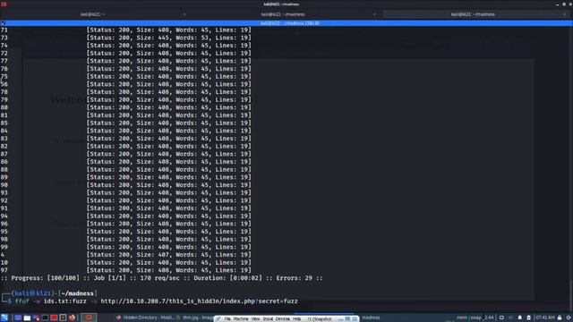 TryHackMe - Madness - Capture the Flag challenge смотреть онлайн