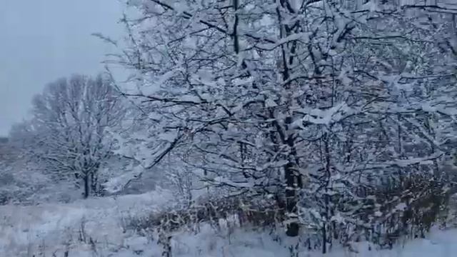 Сказочный Матвеевский Парк смотреть онлайн