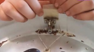 СУШИЛКА ДЛЯ ФРУКТОВ СЛОМАЛАСЬ. ПЕРСТАЛ ИДТИ ГОРЯЧИЙ ВОЗДУХ  РЕМОНТ