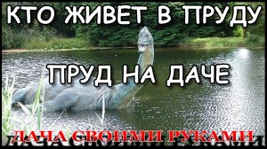 Показываю ПРУД на даче 6 лет спустя