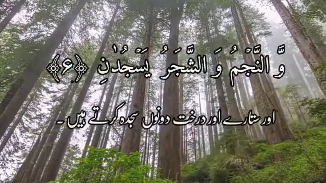 Surah Rahman Ayah 5-7 by Omar Hisham (WhatsApp status Quran) смотреть онлайн