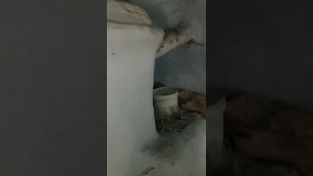 БРОШЕННЫЕ ДОМА ОКОЛО ЛЬВОВА. КУДА БЕГУТ ЛЮДИ? И ОТ ЧЕГО?