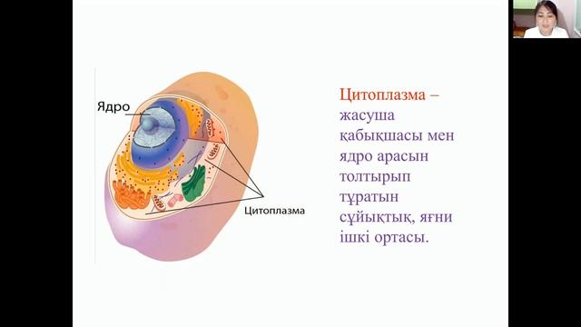 6-сынып. Биология пәні. Жасуша әлеміне саяхат смотреть онлайн