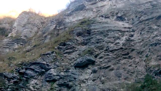 Тисо-Самшитовая роща, река Хоста смотреть онлайн