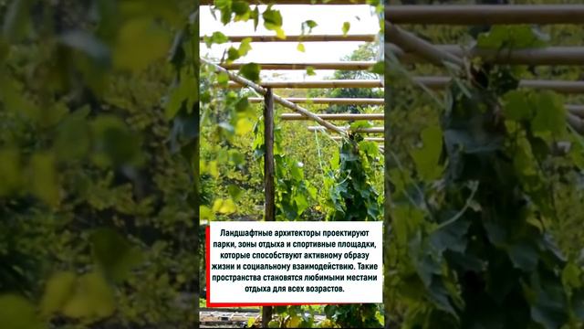 #сад #ландшафт #природа #искусство #алтай #АГУ смотреть онлайн