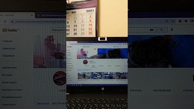 Результаты розыгрыша ножа Mora Basic 546 смотреть онлайн
