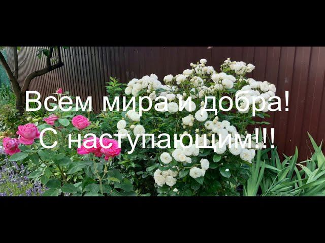 26 декабря смотреть онлайн