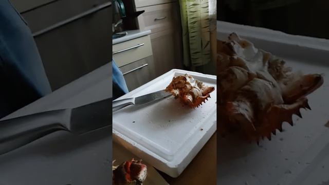 Кольчатый краб смотреть онлайн