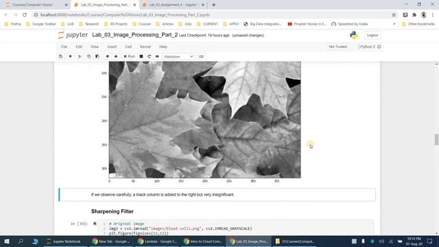 CV Lab 3 Image Processing Part 2 смотреть онлайн