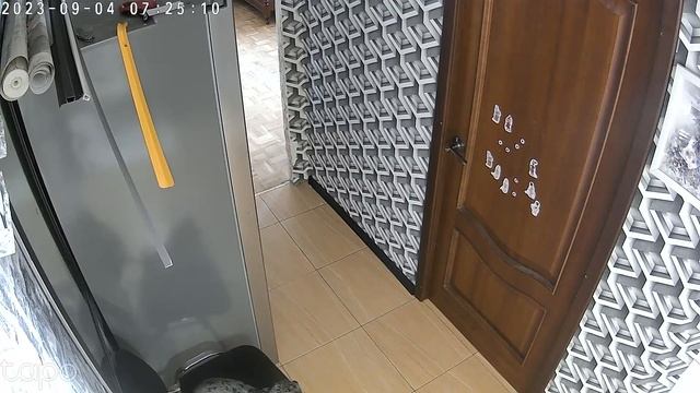 Прекрасная вещь камера дома ?