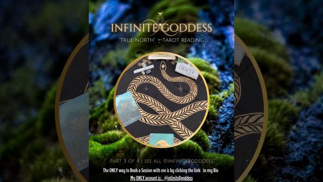 Your True North Oracle Reading for the Day: 6-27-2023 смотреть онлайн