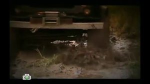 Таинственная Россия - рептилоиды среди нас