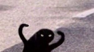 это реальное фото или фотошоп                                                #memes #мемы