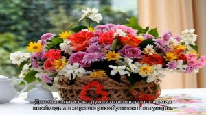 «Сонник Цветок приснился, к чему снится во сне Цветок»