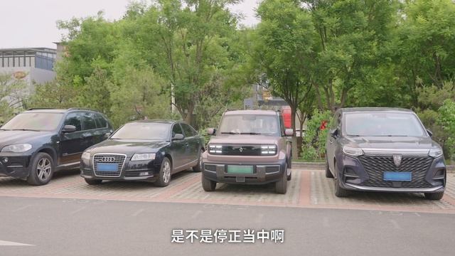 宝骏BAOJUN悦也，我用这辆车骗了他【FastDog狗哥】 смотреть онлайн