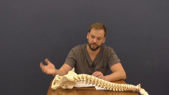 15 декабря. МЦ Драгоценность смотреть онлайн