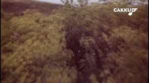 Роза Рымбаева-Әлия(Алия) на казахском и русском языках