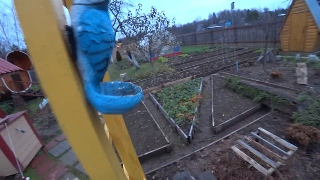 6 соток 10 ноября 2022 год. Хроника. A Walk To The Garden
