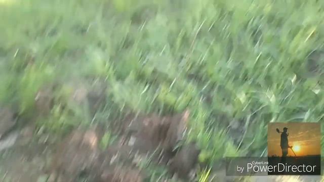 Коп чермета с МД 4030Р на заброшенной немецкой железной дороге смотреть онлайн