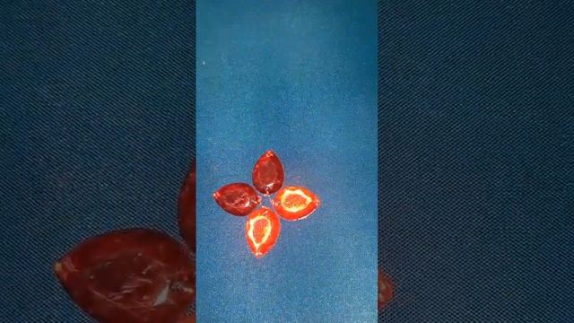 How To Use stone Flower stiles Short Video #short смотреть онлайн