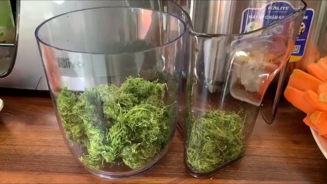 VÌ SAO NÊN CHỌN MUA MÁY ÉP CHÂM TRỤC NGANG OLIVO SJ22 смотреть онлайн