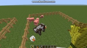 Как приручить курицу, корову, свинью, овцу в Minecraft