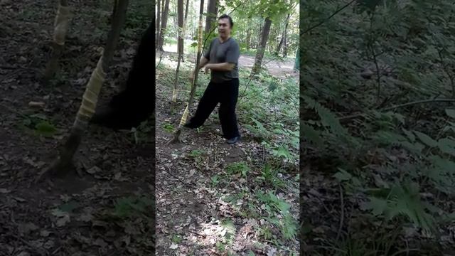 Сенчуков Ю.Ю. Методика работы без партнера, используя гибкое дерево. смотреть онлайн
