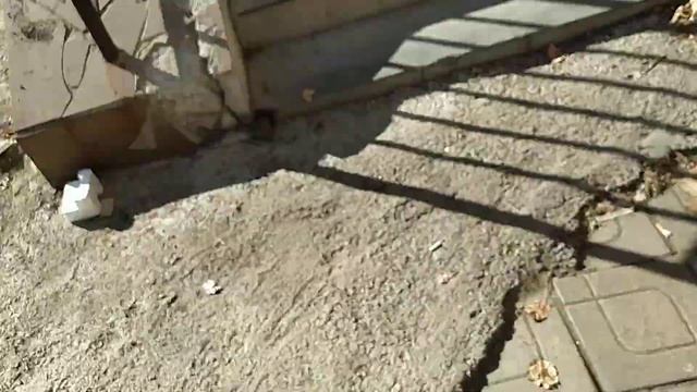 Мега скатывание с лестницы