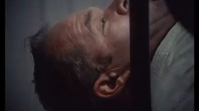 The Strongest Karate Kyokushin Documentary