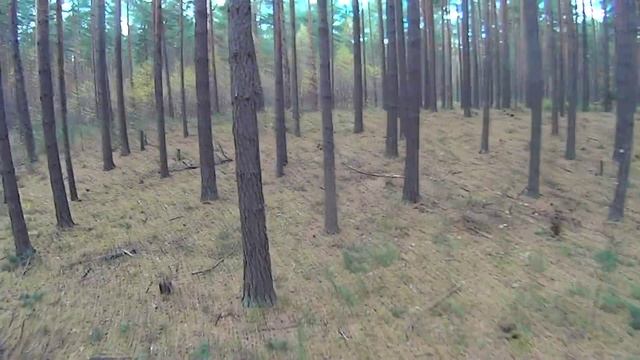 В поисках каменной головы. смотреть онлайн