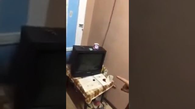 Продам готовый бизнес п. Краснодон смотреть онлайн