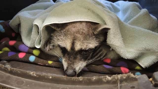 НА ДНЕ КОЛОДЦА С ЖИДКИМ ЦЕМЕНТОМ КТО ТО ОТЧАЯННО ЦЕПЛЯЛСЯ ЗА ПОСЛЕДНИЙ ШАНС! смотреть онлайн