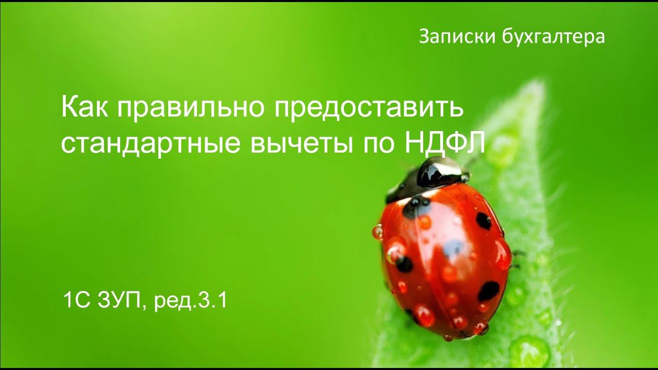 Записки бухгалтера