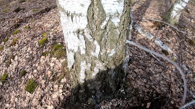 Рецепты Здорового Питания