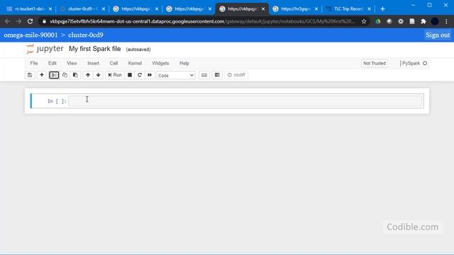 Using PySpark on Dataproc Hadoop Cluster to process large CSV file смотреть онлайн
