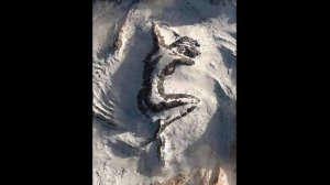 МВД СССР/РСФСР возобновили!? Вопросы министру МВД по выдаче паспортов и не только.