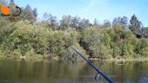 Тест спиннинга Narval Argument 82h